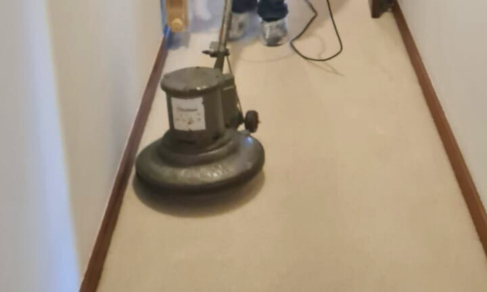 limpeza-de-carpete-em-Curitiba