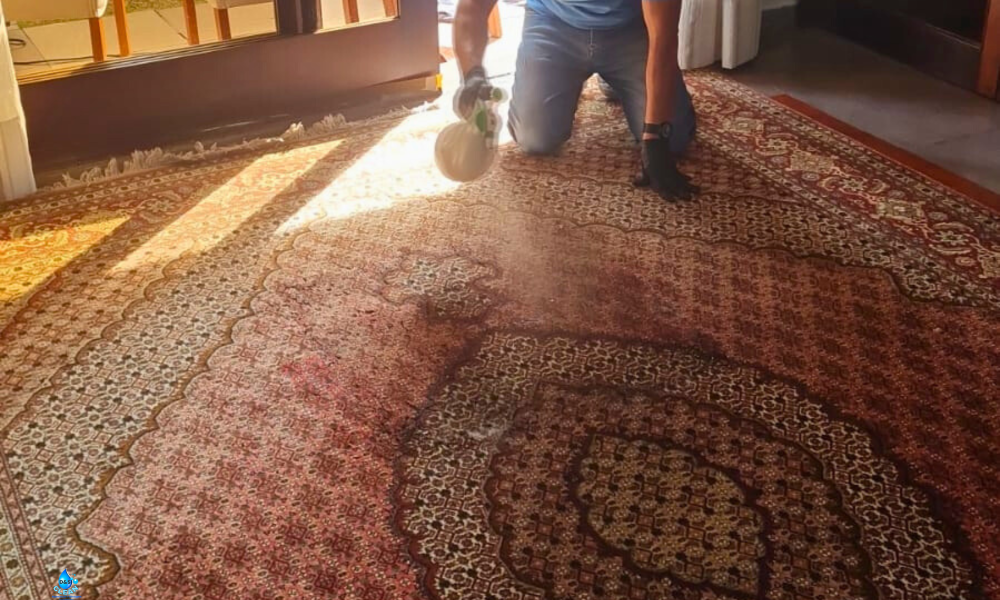 Limpeza-de-tapete-persa-em-Curitiba (1)